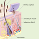 Illustration for article titled You probably dont know how many holes are in your body right now